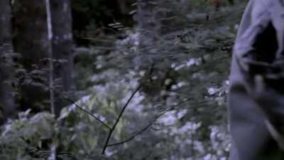 [narrator]
 There Russell encountered - Expedition Bigfoot