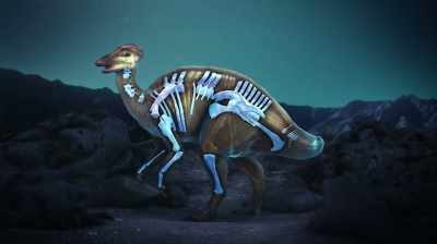 Narrator: THEY'VE UNEARTHED
30 TOTAL BONES, - Dino Hunters