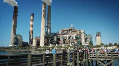 NARRATOR: This is Big Bend Power Station. - United States of Animals