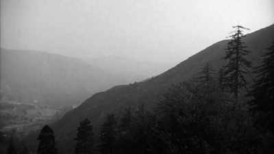 NARRATOR:
This forest then,
and all that happens now - Kubrick by Kubrick