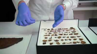 Narrator: This fragment
reveals a word missing - Dead Sea Scrolls: The Doomsday Prophecy
