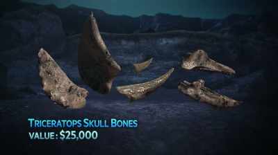 Narrator: THIS HORN, PLUS THE
OTHER BONES FROM THE SITE - Dino Hunters