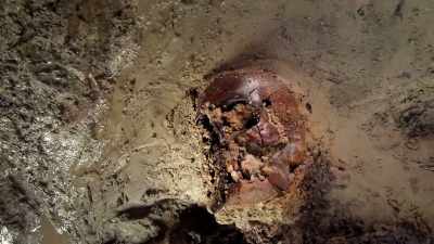 NARRATOR: This
new discovery could provide - Lost Treasures of Rome