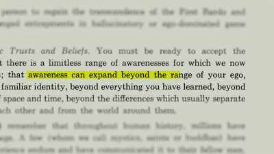 [narrator] This is what Timothy Leary
was talking about - The Mind, Explained
