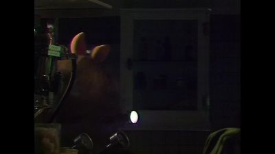 NARRATOR Time once again for Veterinarian's Hospital - The Muppet Show