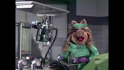 NARRATOR Time once again for Veterinarian's Hospital - The Muppet Show