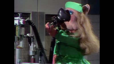 NARRATOR Time now for Veterinarian's Hospital - The Muppet Show