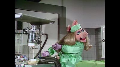 NARRATOR Time now for Veterinarian's Hospital - The Muppet Show