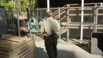 NARRATOR:
To see if Betty and Mentari hit it off... - Magic of Disney's Animal Kingdom