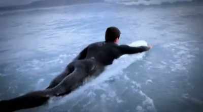 NARRATOR: To see if
some sharks go rogue - Shark Attack Files