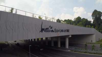 Narrator: Today singapore
is a leader in conservation-- - Searching for Secrets