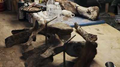 Narrator: TODD DOES EVERYTHING
FROM EXCAVATION TO PREPARATION. - Dino Hunters