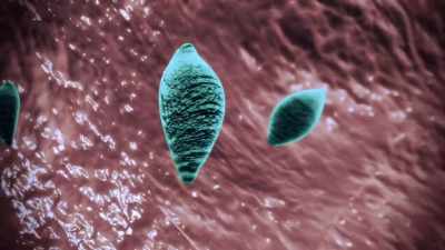 - NARRATOR: Toxicaraplasma gondii, - Zombies! Prepping for the Apocalypse