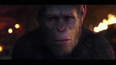 Narrator: We know this isn't
an actual ape speaking, - The Story of Film: A New Generation