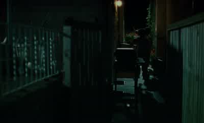 We would never be sure about the sequence of e vents. - The Virgin Suicides