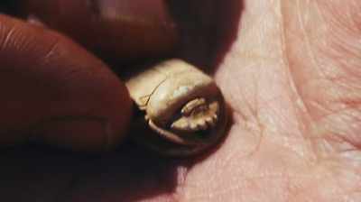 Narrator: Whether
this tiny good-luck charm - Lost Kingdom of the Black Pharaohs