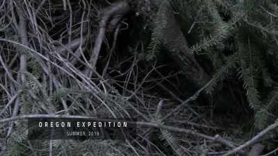 [narrator]
which was unlike anything - Expedition Bigfoot