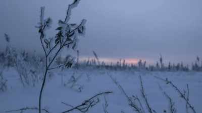 NARRATOR: With deep winter
setting in at the Cosna, - Life Below Zero: Next Generation