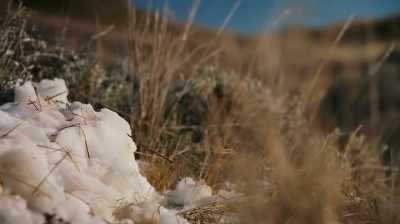 Narrator:
WITH WINTER THREATENING TO SHUT
THE SITE DOWN, - Dino Hunters