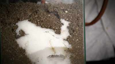 narrator-xingtai-china - Strange Evidence