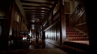 ...Nas ex viras,
sequitas sanguinem. - The Vampire Diaries