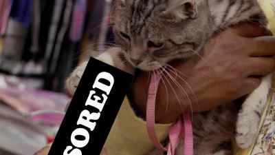 NASTY, MRS. KITTY. - Loiter Squad