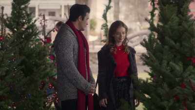 Natalie, it's a tree
not a bush. - A Taste of Christmas