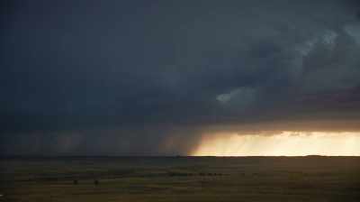 Nate: AT ANY TIME,
THOSE DOWNPOURS CAN COME TO US, - Dino Hunters
