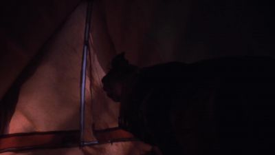 Nathan One by one we pray to thee - Antrum: The Deadliest Film Ever Made