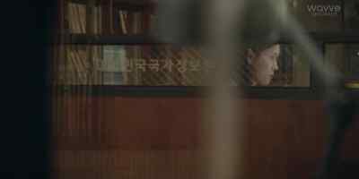 (National Intelligence Service Korea) - The Veil