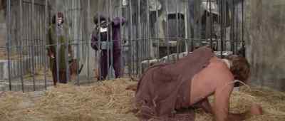 Natural-born thieves, aren't they? - Planet of the Apes