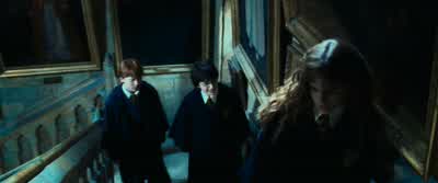 Naturally, the schoolhas been searched many times. - Harry Potter and the Chamber of Secrets