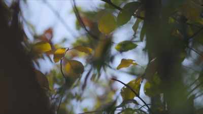 Nature itself is
a big inspiration - A Brief History of the Future