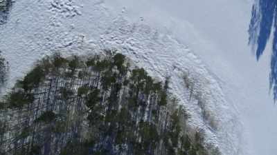 Nature times its rhythms to the freezing - Wild Nordic