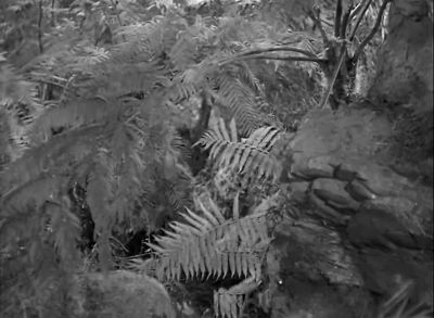 Nazi hyena dead now - Tarzan Triumphs