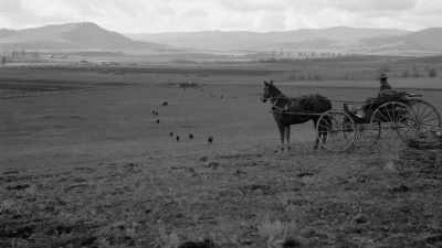  
The notable bison preserves,
these are created - The American Buffalo