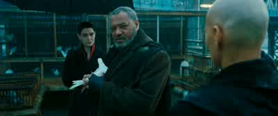 Ne regarde pas, ma belle. - John Wick: Chapter 3   Parabellum