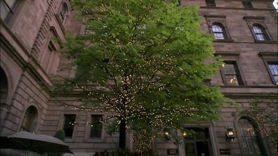 NEAL:
He is definitely
here to buy. - White Collar