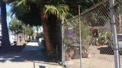 Near the corner
where I found the blood. - Murder Death Koreatown
