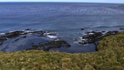 ''Nearly a thousand miles north,'' - Secrets of the Whales