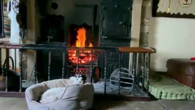 Neatly coiffed, their customer is
left alone to recuperate in peace. - Our Yorkshire Farm