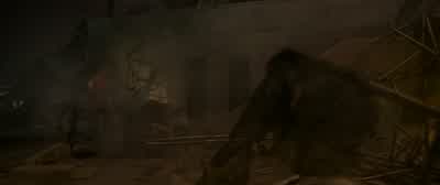 Ned? - Ned! - Hey! - Spider Man: No Way Home