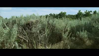 Ned: Will! - Unforgiven