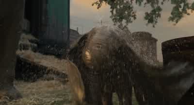Need a vet to come to look at him, Max. - Dumbo