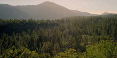 Need to be at the growers' camp
before sunset - American Horror Stories
