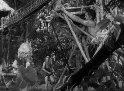 Need more vine. - Tarzan and the Leopard Woman