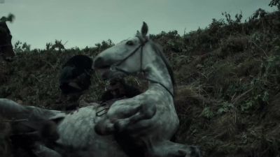 [neighing] - The Last Kingdom
