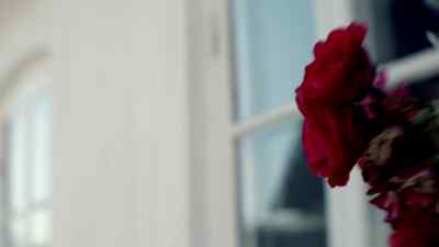 (NEIGHING) - Wallander