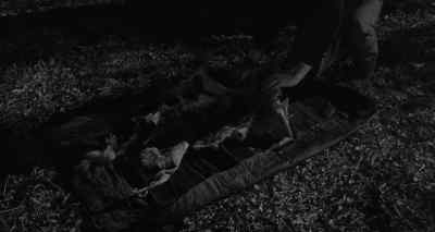 [NEIGHING] - Cast a Long Shadow