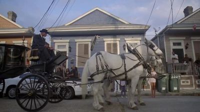 [NEIGHING] - American Horror Story